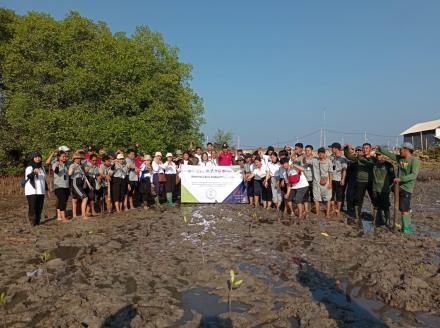 Penanaman Mangrove Di Teluk Penerusan Bersama Badan Pengawas Obat Dan Makanan (BPOM)