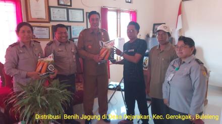 Serah Terima Bibit Jagung oleh Balai Penerapan Standar Instrumen Pertanian (BSIP) Bali