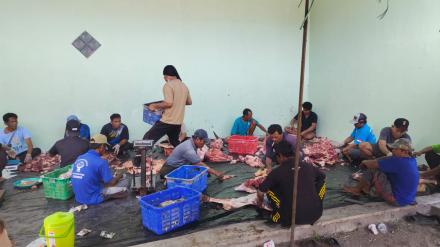 Perbekel Pejarakan Hadiri Kegiatan Pemotongan Hewan Kurban di Desa Pejarakan